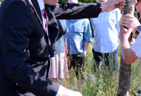 Borgmesteren planter et træ